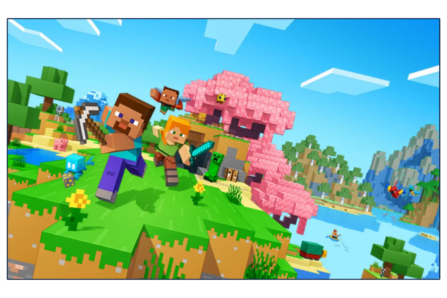 Video preview